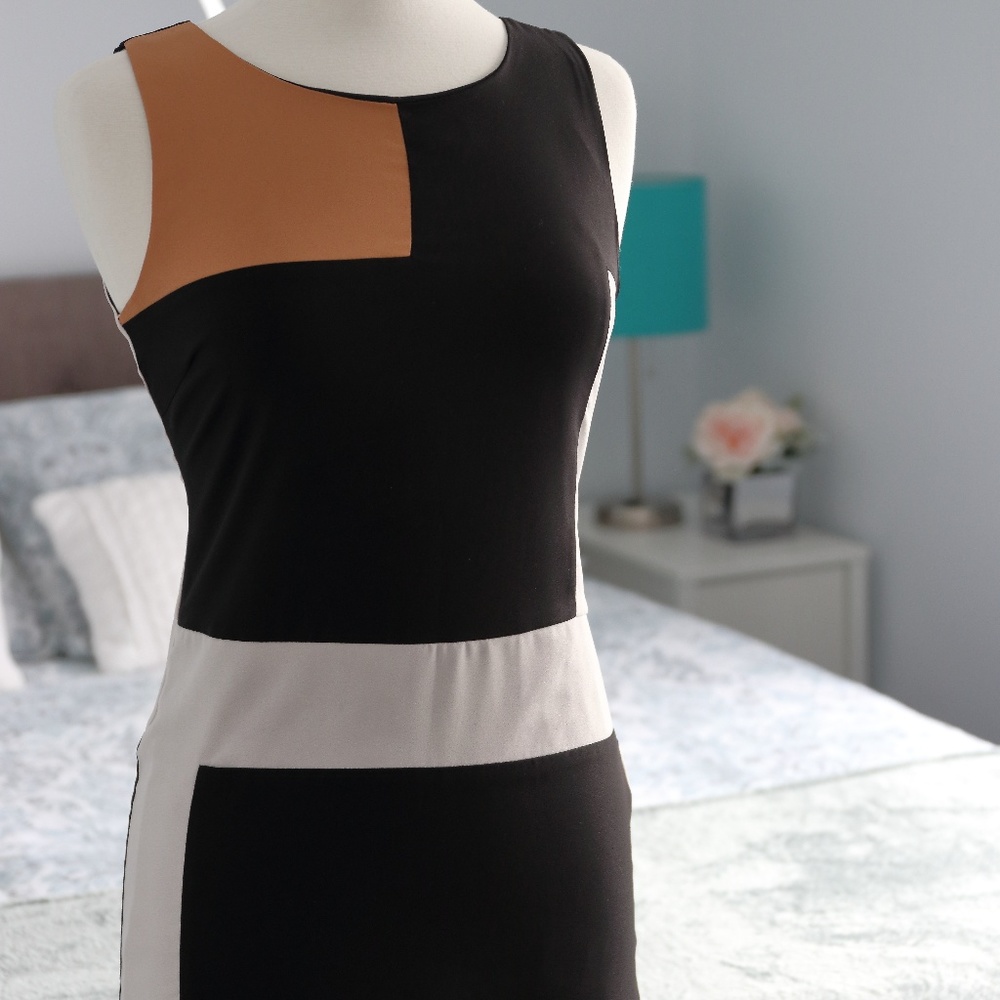 C. Luce Colorblock Dress in black, tan and white